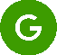 Google Icon